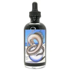 Discount 🛒 Noodlers Rollerball Ink Bottle, Eel Black, With Free Rollerball And Fountain Pen 🤩